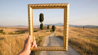 An empty picture frame outlines a peaceful scene of a country road.