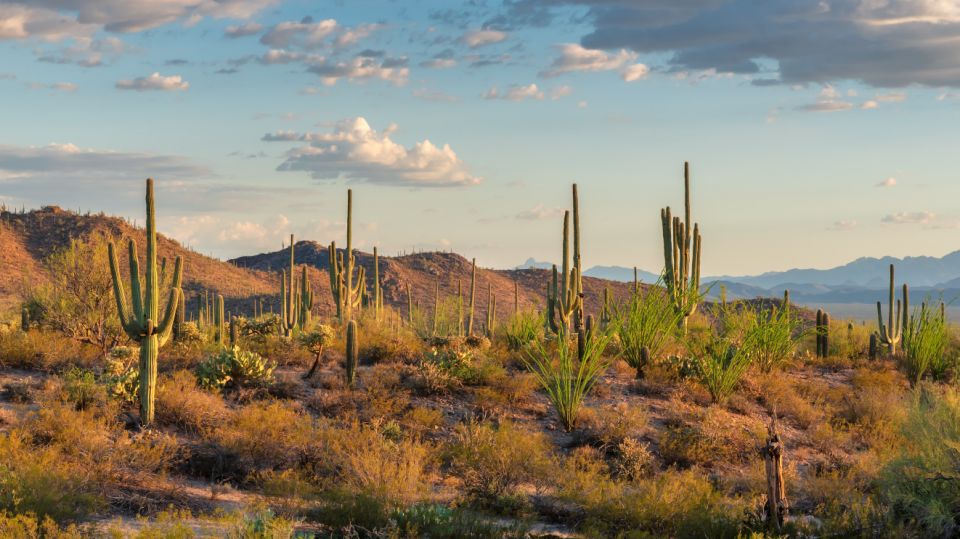 Certain retirement communities like Arizona&#x002019;s Green Valley and Sun City West already &#x00201c;serve as a &#x00201c;magnet&#x00201d; for senior citizens as over 80% of the population is composed of retirees. (Photo: Getty)