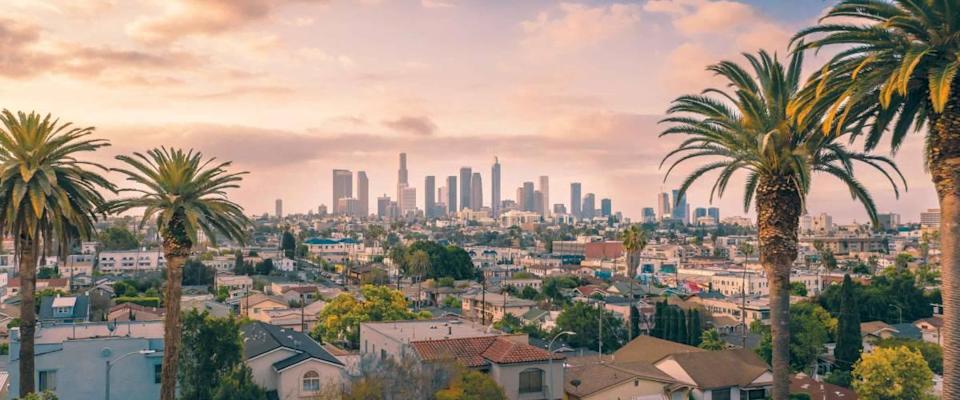 Beautiful sunset of Los Angeles downtown skyline and palm trees