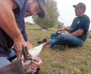 <b>Chris Sinclair / gtphoto@greeleytrib.com</b>Larry Rogstad,