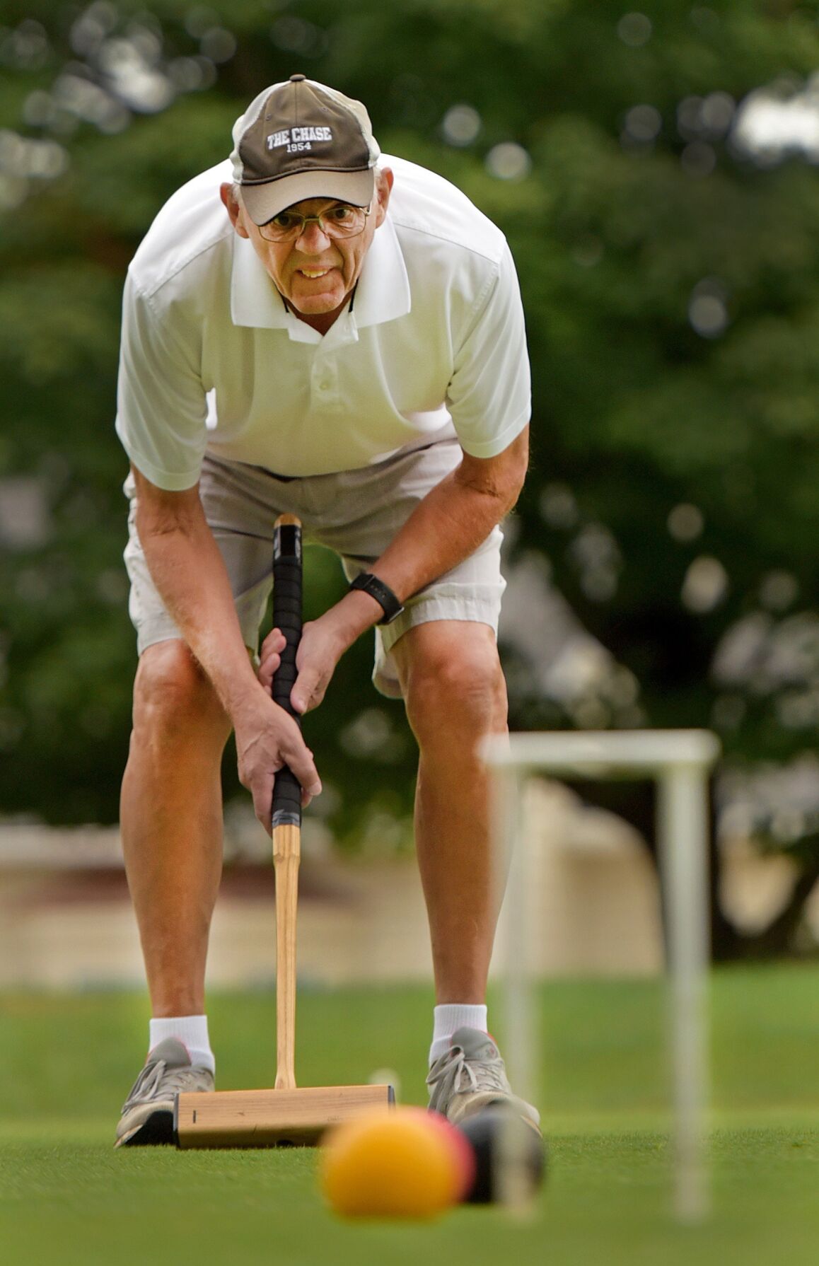 Arbor Acres croquet